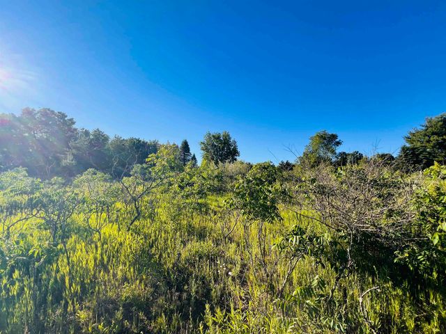 13845 70th Avenue, Evart, MI 49631