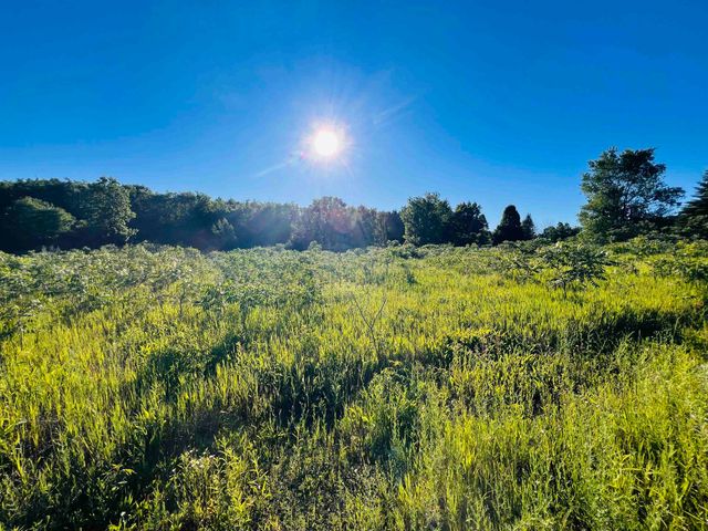 13845 70th Avenue, Evart, MI 49631