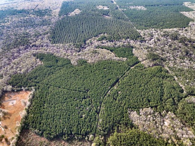 T-9 Fm 787, Saratoga, TX 77585