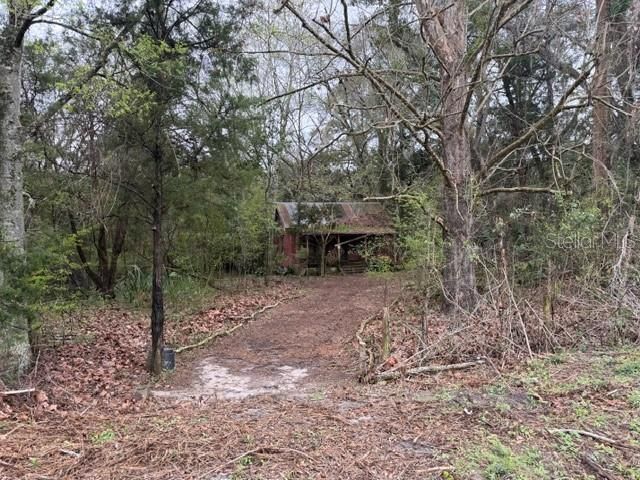 13201 SW ARCHER LANE, Archer, FL 32618