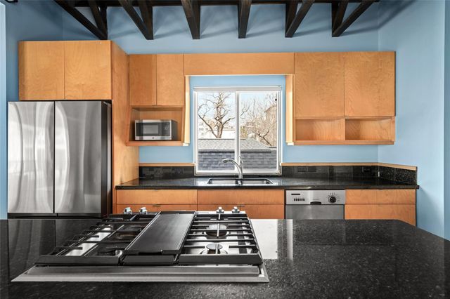 224 Willard Street C, Houston, TX 77006