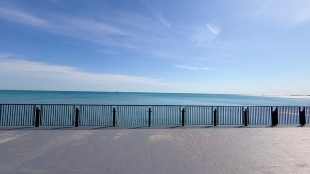 7337 S South Shore Drive 1112, Chicago, IL 60649