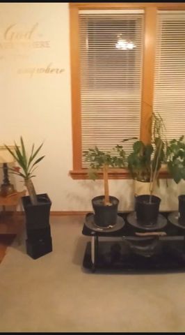 6541 S Carpenter Street, Chicago, IL 60621