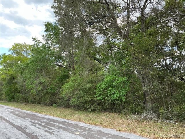 1656 W Beach Plum Drive, Citrus Springs, FL 34434