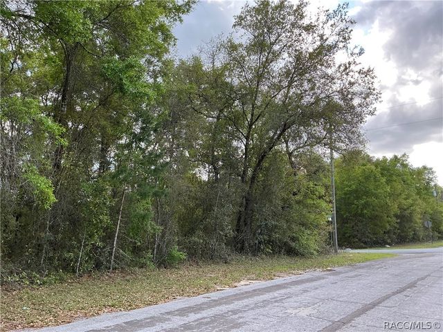 1656 W Beach Plum Drive, Citrus Springs, FL 34434