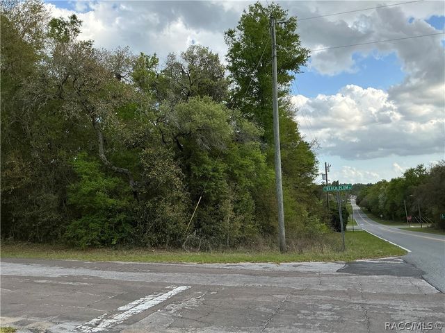 1656 W Beach Plum Drive, Citrus Springs, FL 34434