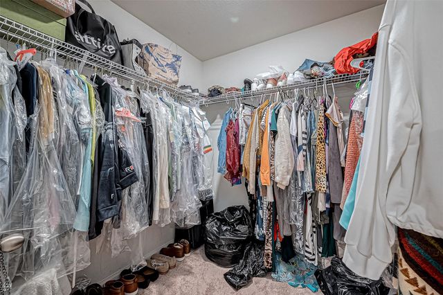 9915 Garnet Grove Drive, Rosharon, TX 77583