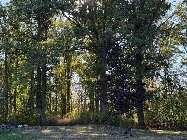 1195 W French Line Road, Sandusky, MI 48471