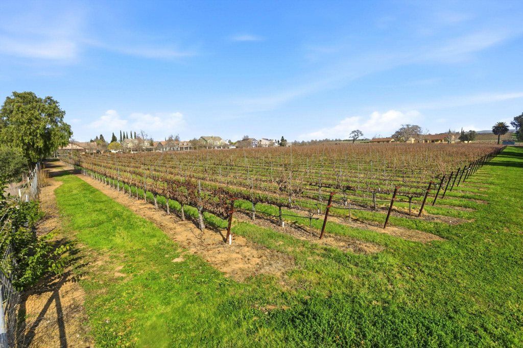 Image 48 of property listing at 3075 Olivoro Ct, Livermore, CA 94550