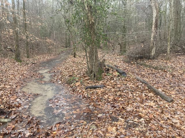 0 Rockfort Road - 100 Acres, Pikeville, TN 37367