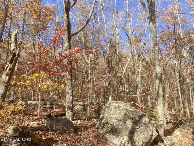 0 Rockfort Road - 100 Acres, Pikeville, TN 37367