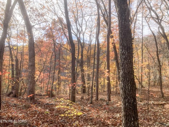 0 Rockfort Road - 100 Acres, Pikeville, TN 37367