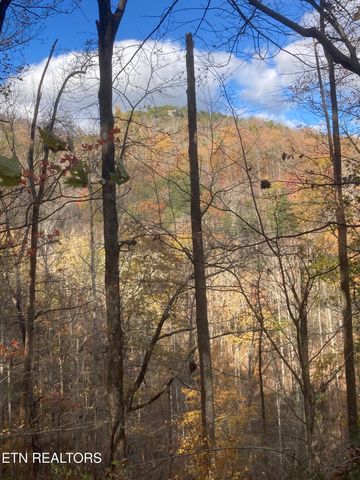 0 Rockfort Road - 100 Acres, Pikeville, TN 37367