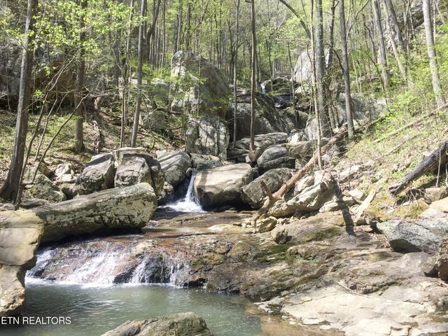 0 Rockfort Road - 100 Acres, Pikeville, TN 37367