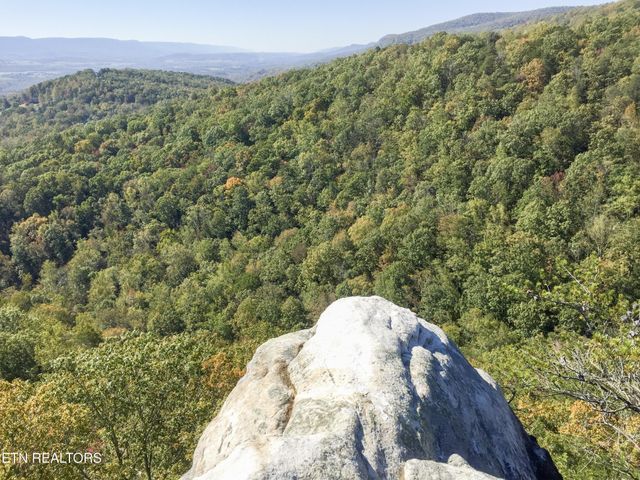 0 Rockfort Road - 100 Acres, Pikeville, TN 37367