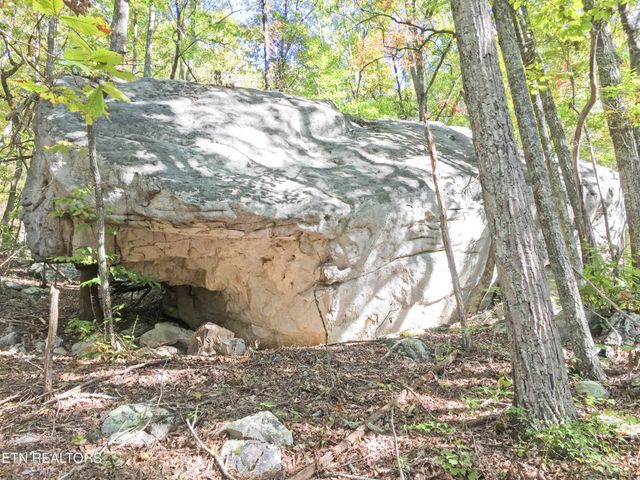 0 Rockfort Road - 100 Acres, Pikeville, TN 37367