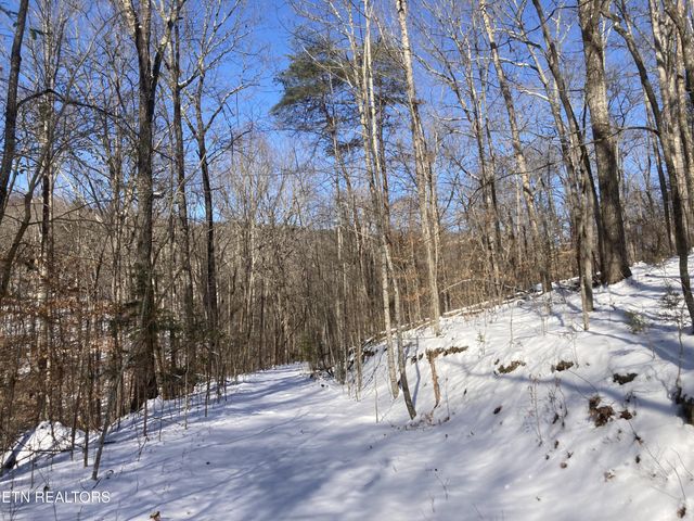 0 Rockfort Road - 100 Acres, Pikeville, TN 37367