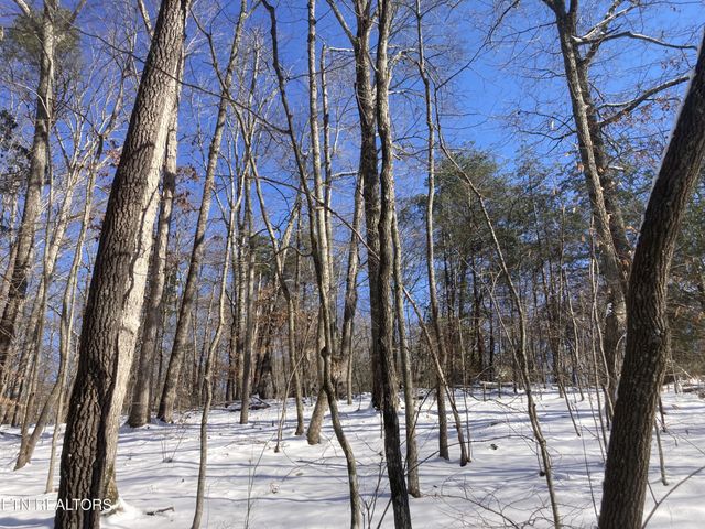 0 Rockfort Road - 100 Acres, Pikeville, TN 37367