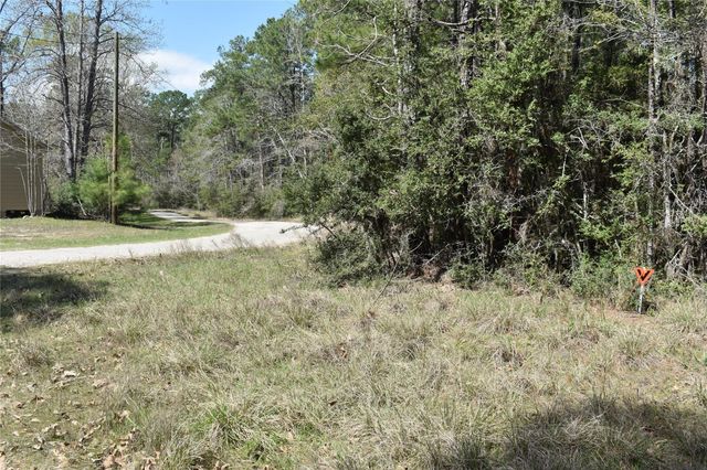 TBD Eagle Lane, Livingston, TX 77351