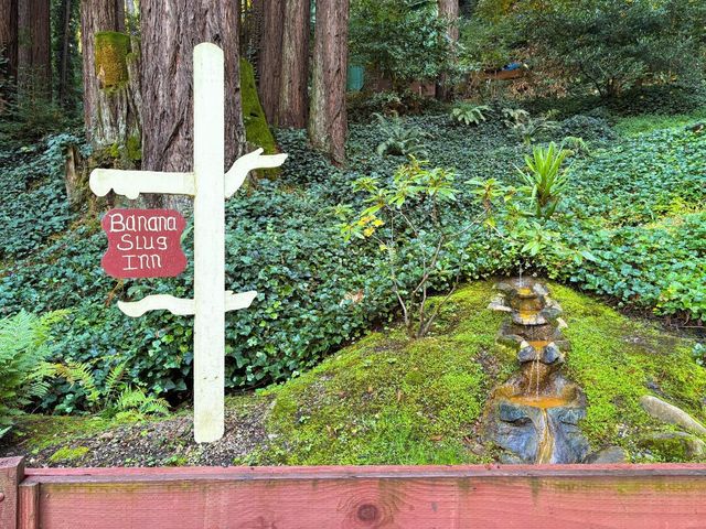 8787 Highway 9, Ben Lomond, CA 95005