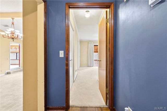 3725 64th NE, Tuscaloosa, AL 35406