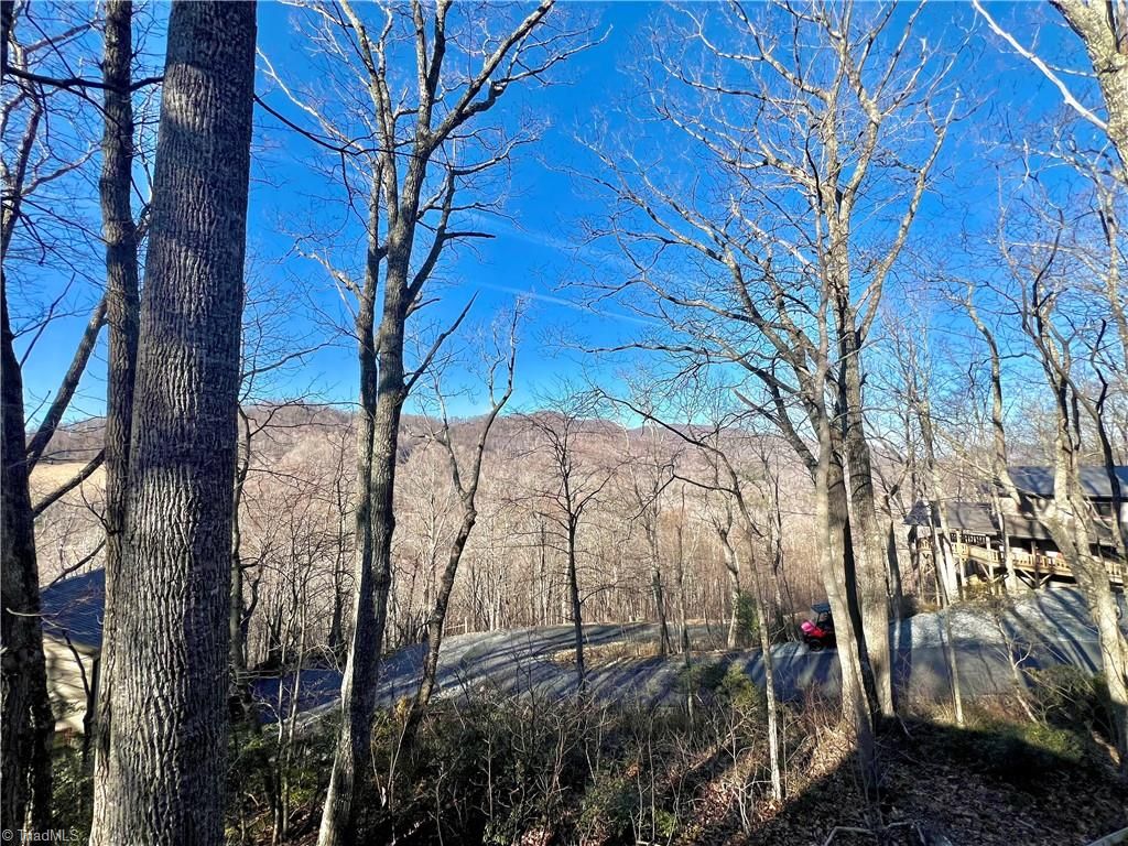 305 Laurel Mountain Estates Drive, Todd, NC 28684