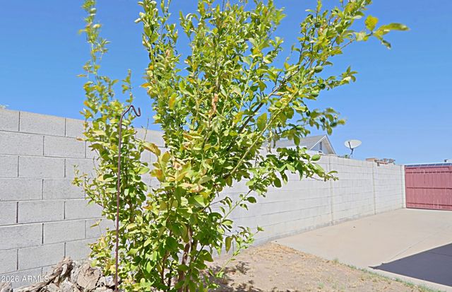3721 W CALAVAR Road, Phoenix, AZ 85053
