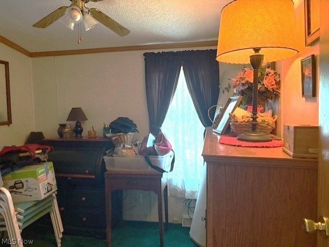942 Township Rd 199, Bloomingdale, OH 43910