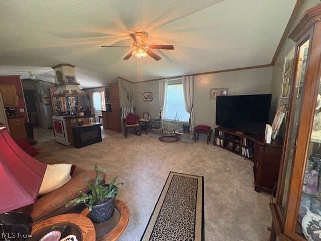 942 Township Rd 199, Bloomingdale, OH 43910