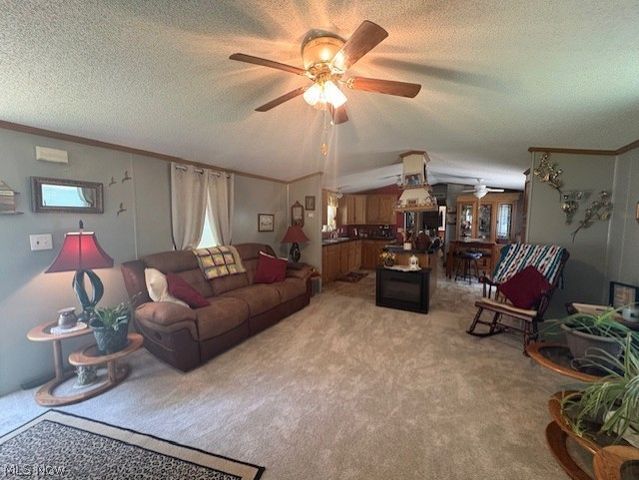 942 Township Rd 199, Bloomingdale, OH 43910