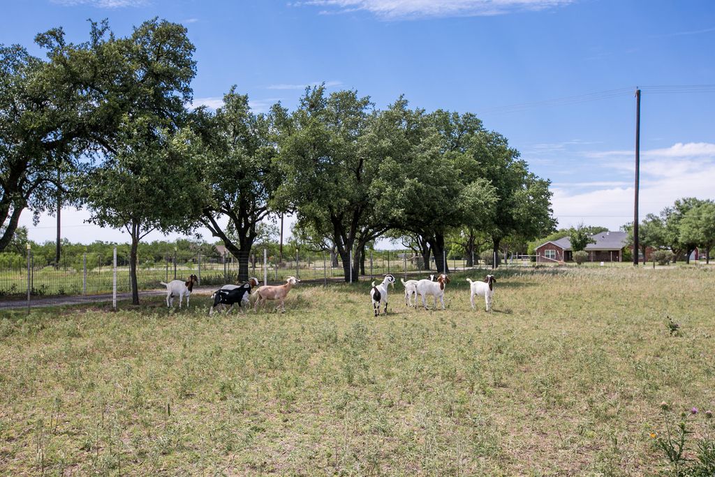 Image 20 of property listing at 3205 Country Club Road, San Angelo, TX 76904