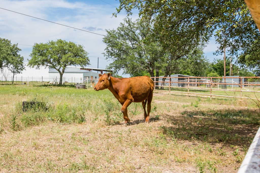 Image 31 of property listing at 3205 Country Club Road, San Angelo, TX 76904
