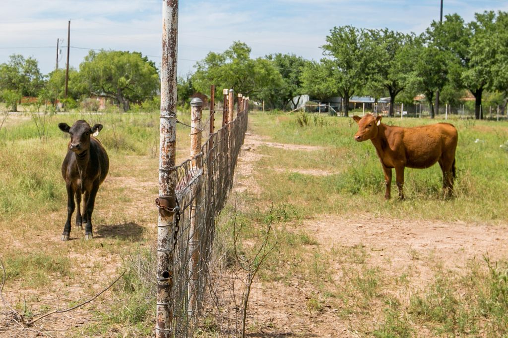 Image 32 of property listing at 3205 Country Club Road, San Angelo, TX 76904