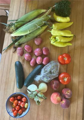 1247 Larimer Ave, Lincoln Larimer, PA 15206