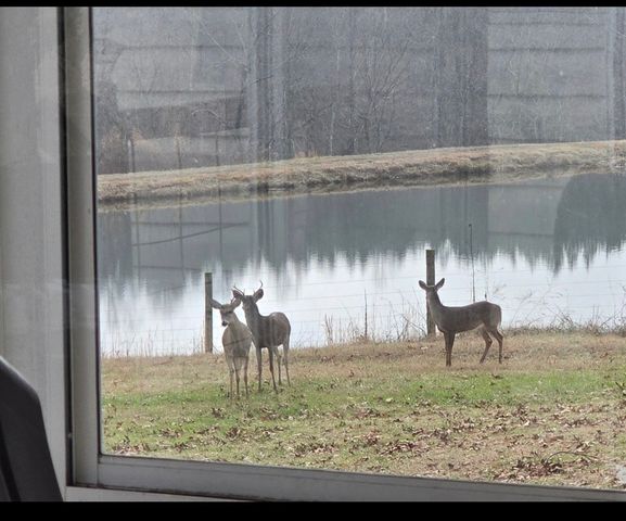 875 Waterloo Rd, Westpoint, TN 38486