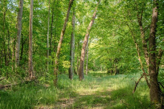 875 Waterloo Rd, Westpoint, TN 38486