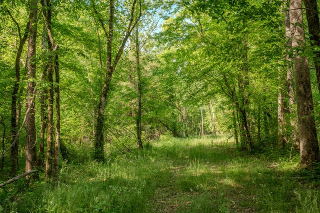 875 Waterloo Rd, Westpoint, TN 38486