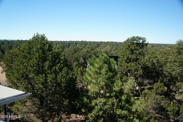 1988 Bradley Lane, Overgaard, AZ 85933