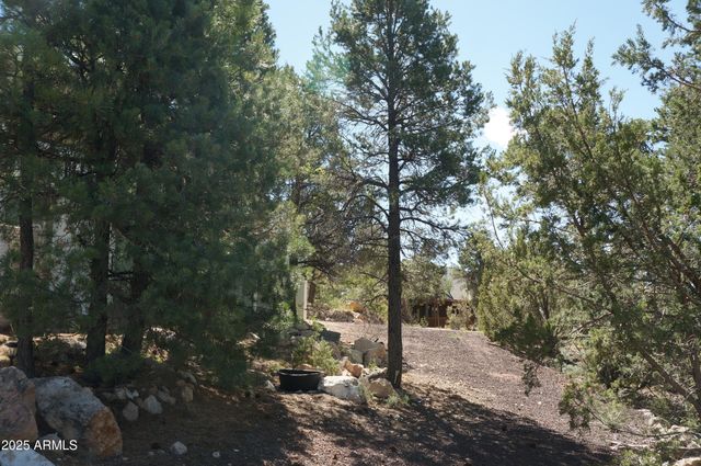 1988 Bradley Lane, Overgaard, AZ 85933