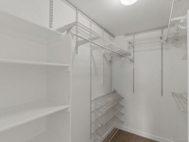 13287 Holly St E, Thornton, CO 80241