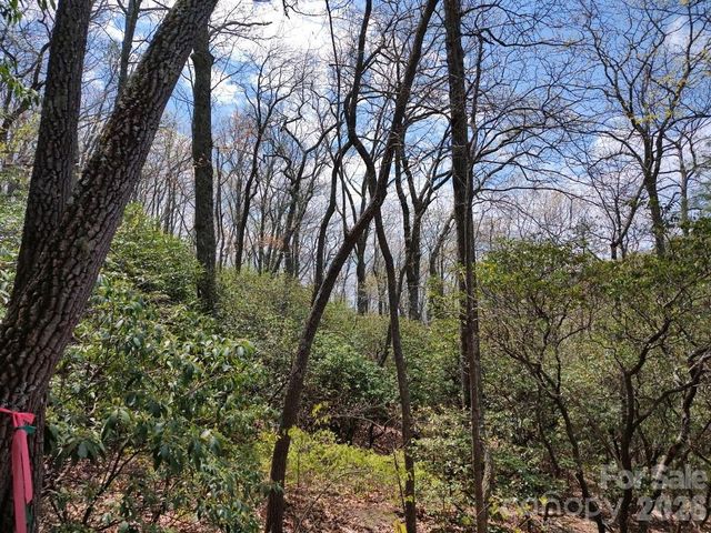 99999 Red Oak Forest Road 1418, Fairview, NC 28730