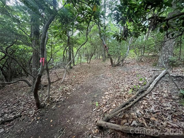 99999 Red Oak Forest Road 1418, Fairview, NC 28730
