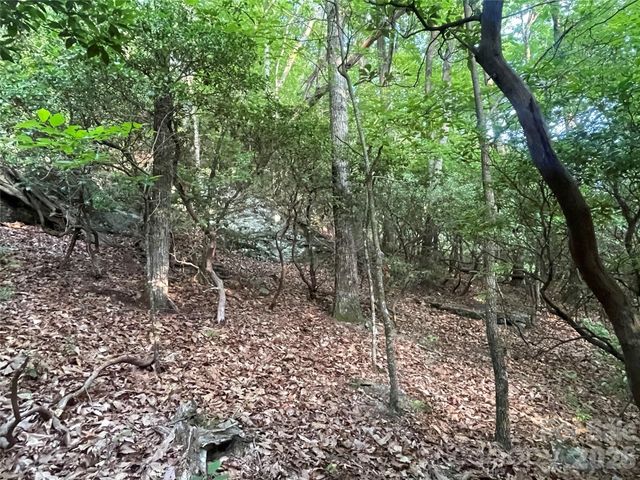 99999 Red Oak Forest Road 1418, Fairview, NC 28730