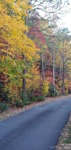 99999 Red Oak Forest Road 1418, Fairview, NC 28730