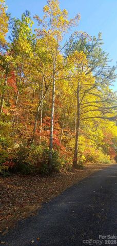 99999 Red Oak Forest Road 1418, Fairview, NC 28730