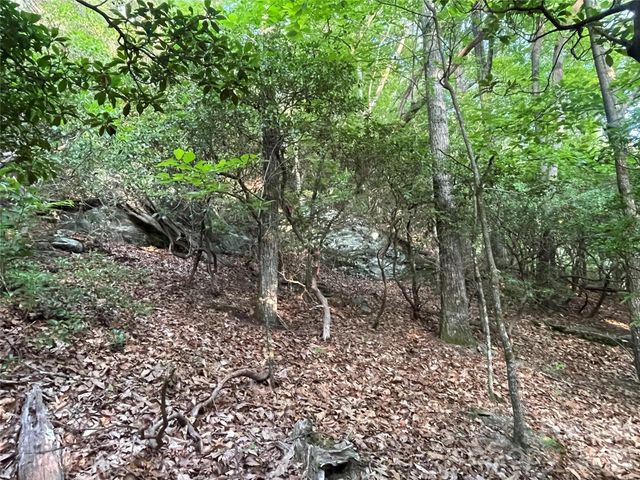 99999 Red Oak Forest Road 1418, Fairview, NC 28730