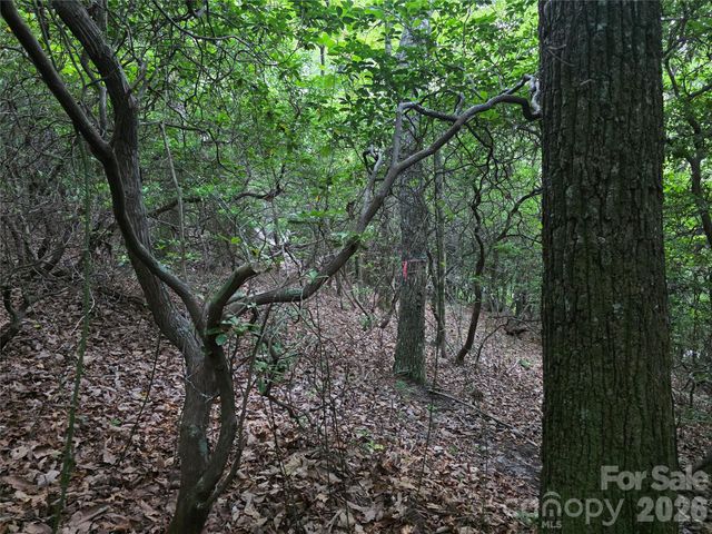 99999 Red Oak Forest Road 1418, Fairview, NC 28730