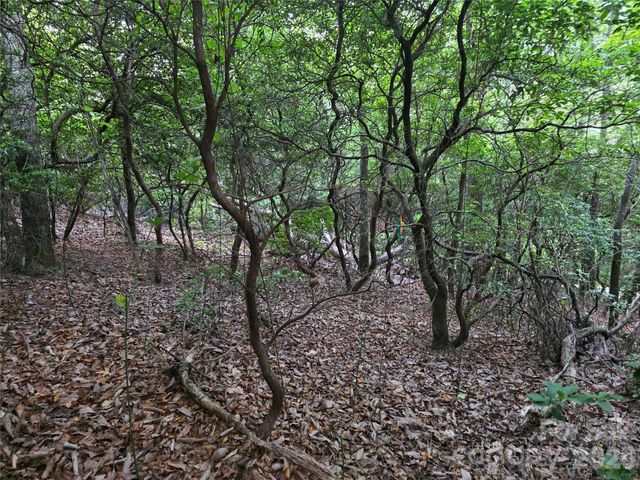 99999 Red Oak Forest Road 1418, Fairview, NC 28730