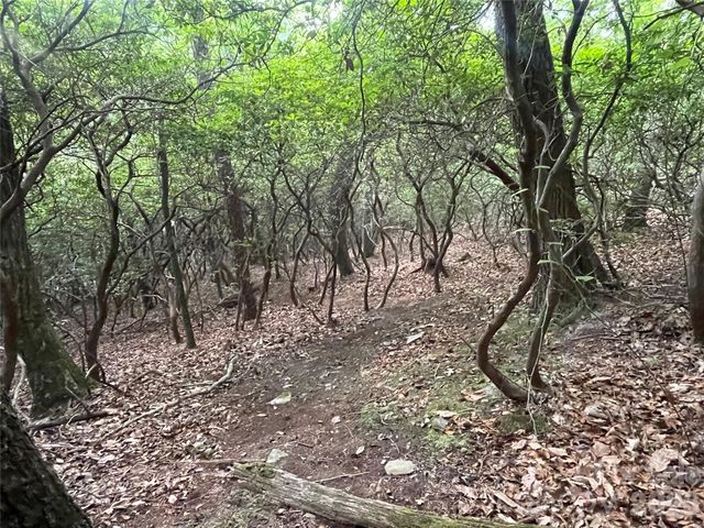 99999 Red Oak Forest Road 1418, Fairview, NC 28730