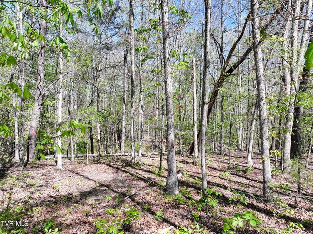 1540 Luther Memorial Road, Parrottsville, TN 37843